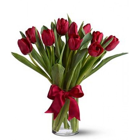 Royal Red Tulips